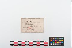 Etiketten zu Bronzebrillenfibel (NHMW-PRAE-024269)